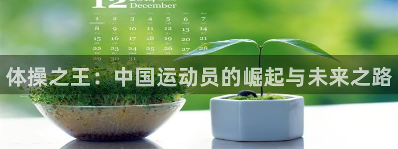 凯发官方正版app娱乐首页官网下载：体操之王：中国运动员的崛
