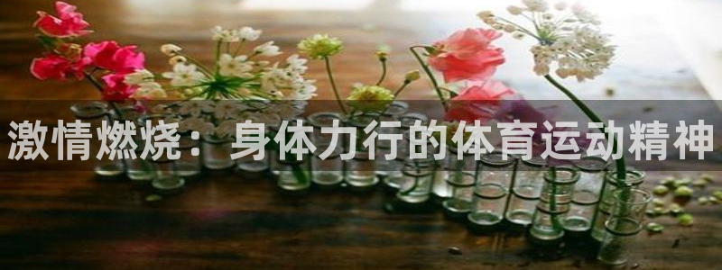 凯发官方正版app开户