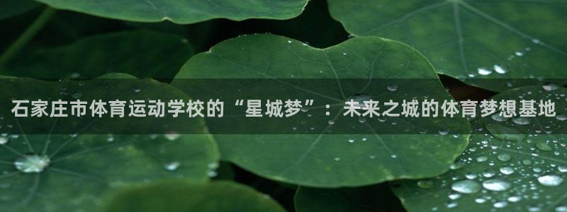 凯发官网下载开户：石家庄市体育运动学校的“星城梦”：未来之城