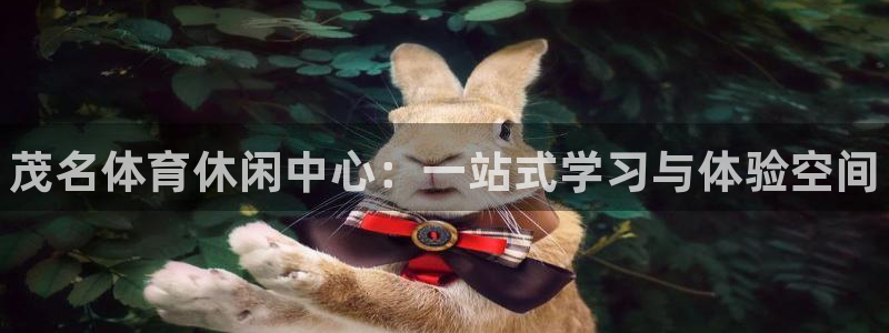 凯发官方正版app科技