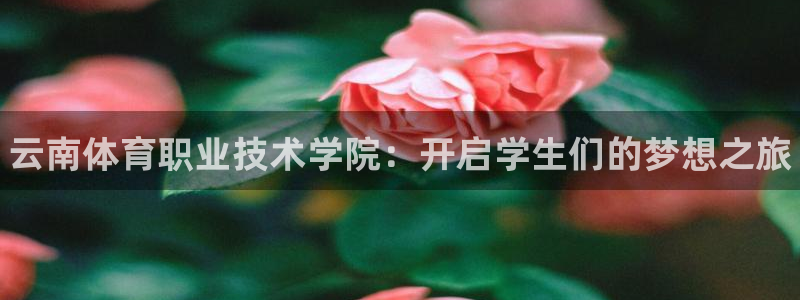 凯发官网下载软件：云南体育职业技术学院：开启学生们的梦想之旅
