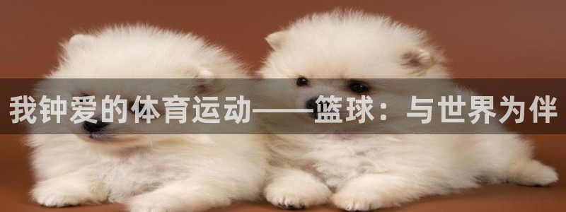 德国凯发官方正版app集团：我钟爱的体育运动——篮球：与世界