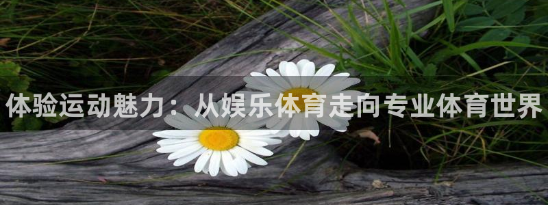 凯发官网下载平台注册要钱吗：体验运动魅力：从娱乐体育走向专业