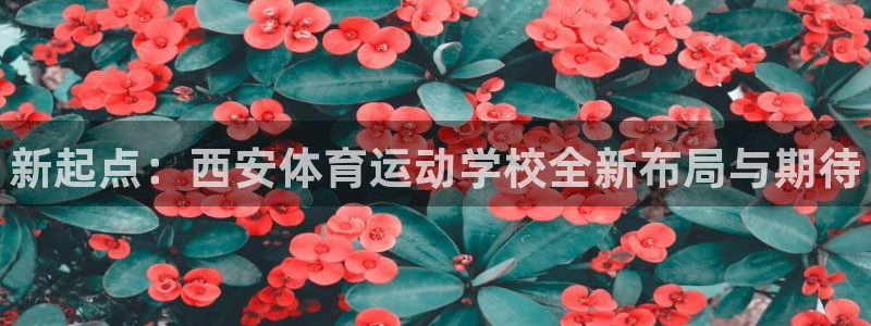 凯发官网下载招商电话地址是多少：新起点：西安体育运动学校全新