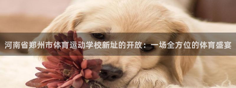 注册凯发官方正版app：河南省郑州市体育运动学校新址的开放：
