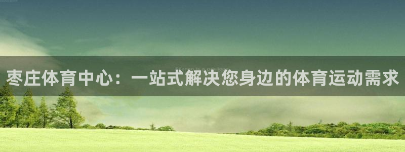 凯发官方正版app娱乐首页网站大全：枣庄体育中心：一站式解决
