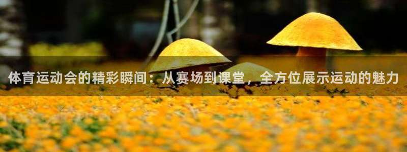 凯发官网下载招商电话号码是多少：体育运动会的精彩瞬间：从赛场