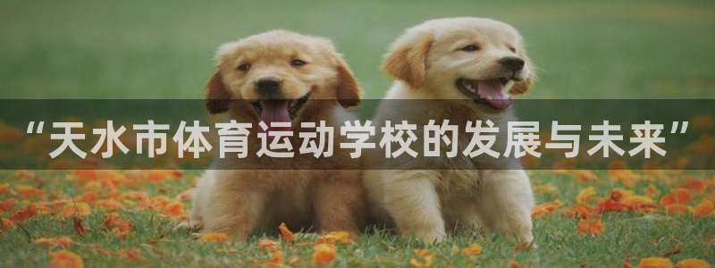 凯发官网下载招商电话号码查询：“天水市体育运动学校的发展与未