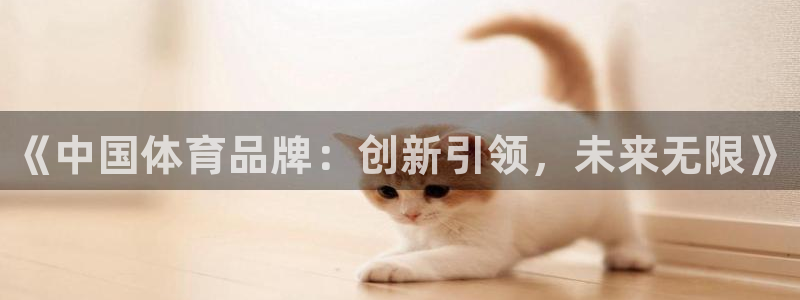 凯发官方正版app娱乐网站：《中国体育品牌：创新引领