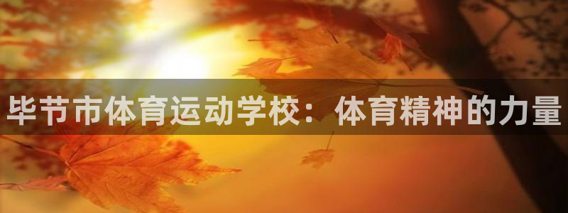 凯发官方正版app集团官网首页：毕节市体育运动学校：体育精神