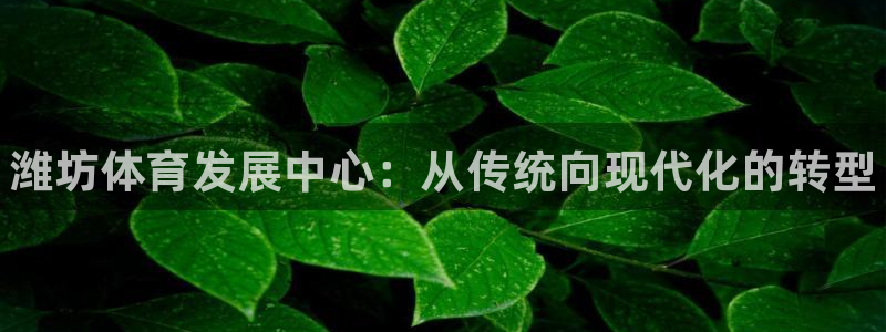 凯发官网下载平台注册要钱吗：潍坊体育发展中心：从传统