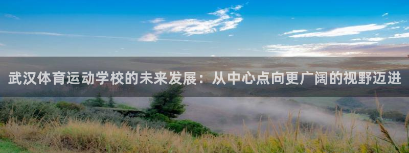 凯发官网下载平台注册流程图：武汉体育运动学校的未来发