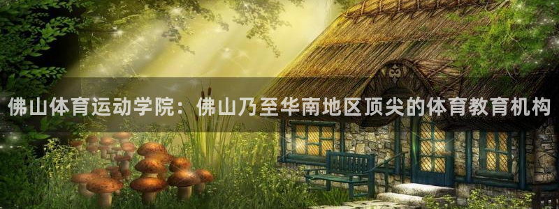 凯发官网下载：佛山体育运动学院：佛山乃至华南地区顶尖