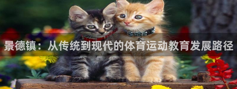 凯发官方正版app娱乐首页网站大全：景德镇：从传统到现代的体