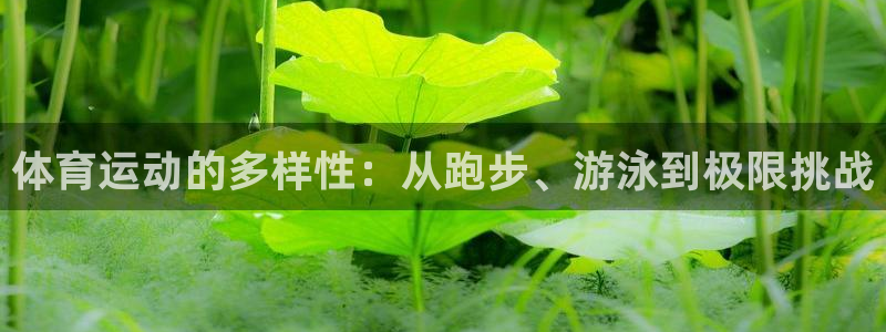 凯发官网下载招商电话地址：体育运动的多样性：从跑步、游泳到极