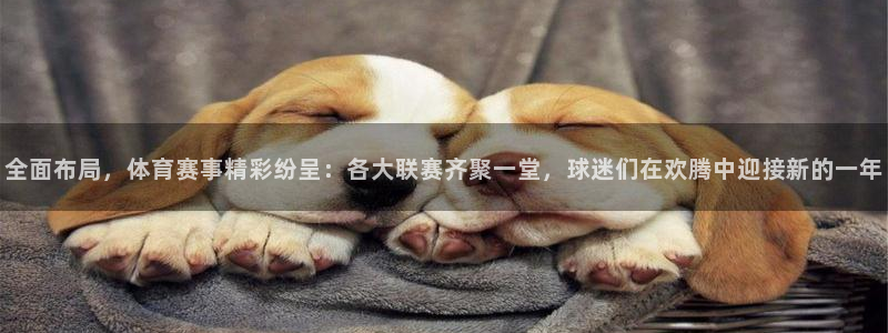 凯发官方正版app官方：全面布局，体育赛事精彩纷呈：各大联赛