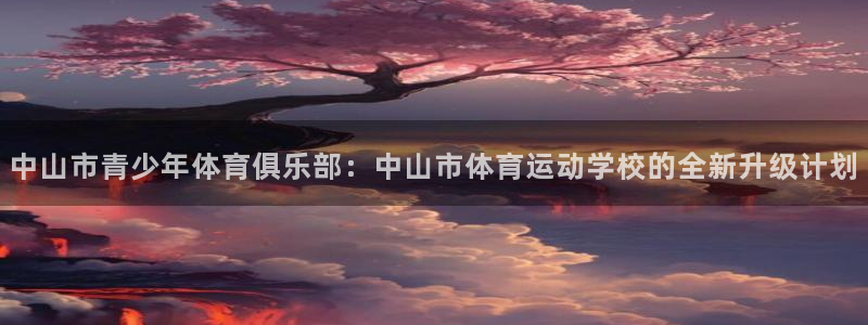 凯发官方正版app娱乐首页网站大全：中山市青少年体育俱乐部：