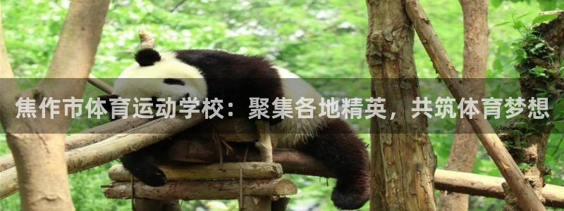 注册凯发官方正版app：焦作市体育运动学校：聚集各地精英，共