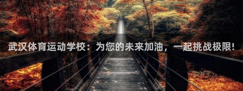 凯发官方正版app集团简介：武汉体育运动学校：为您的未来加油