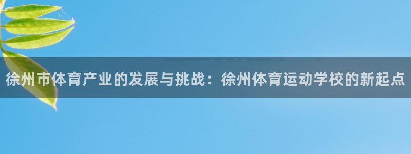 凯发官网下载招商：徐州市体育产业的发展与挑战：徐州体育运动学