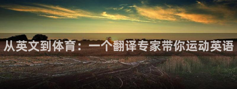 凯发官网下载平台APP：从英文到体育：一个翻译专家带你运动英