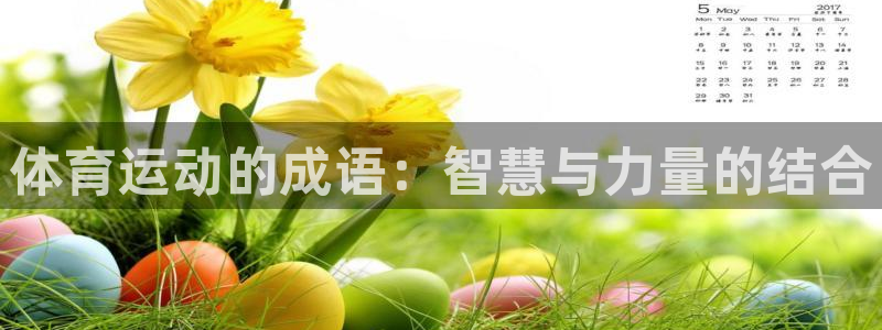 凯发官方正版app集团简介：体育运动的成语：智慧与力量的结合