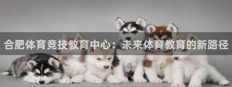 凯发官网下载招商电话是多少：合肥体育竞技教育中心：未来体育教