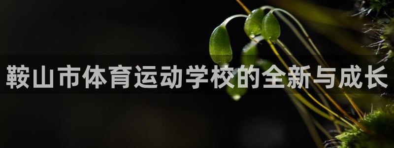 凯发官方正版app集团官网首页：鞍山市体育运动学校的全新与成