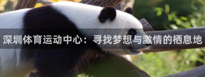 凯发官网下载招商电话号码查询是多少：深圳体育运动中心：寻找梦