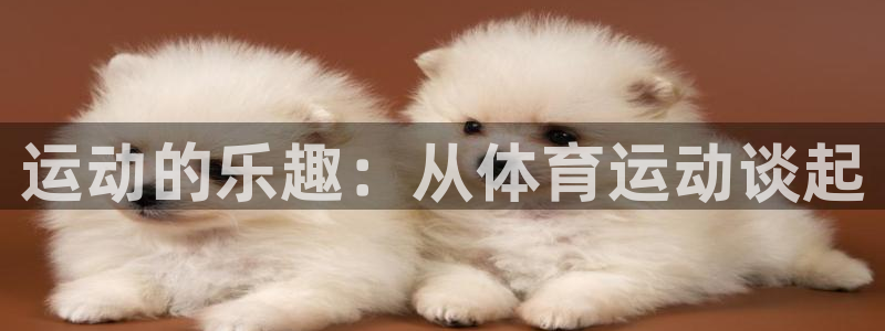 凯发官网下载招商电话地址是多少：运动的乐趣：从体育运动谈起