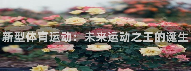 凯发官方正版app娱乐网站