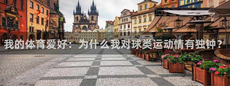 海南凯发官网下载发展怎么样：我的体育爱好：为什么我对球类运动