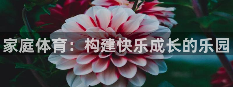 凯发官网下载招商电话是多少啊：家庭体育：构建快乐成长的乐园
